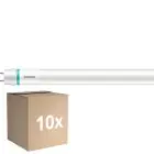 Fordelspakke 10x Philips Master LED T8 (EM/Mains) High Output 13.1/15.5W 2100/2500lm - 840 Kold Hvid | 120cm - Lumen Kontakt - Erstatter 36W